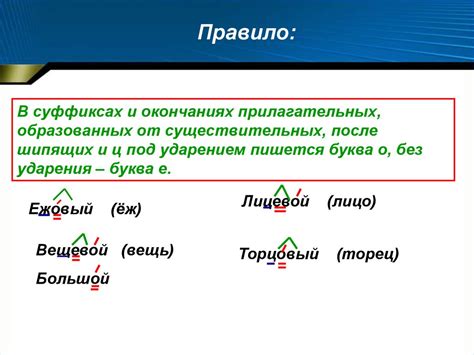 Механизм формирования суффикса "е" в шипящих