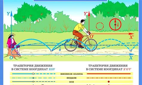 Механическое движение человека: особенности и система движений