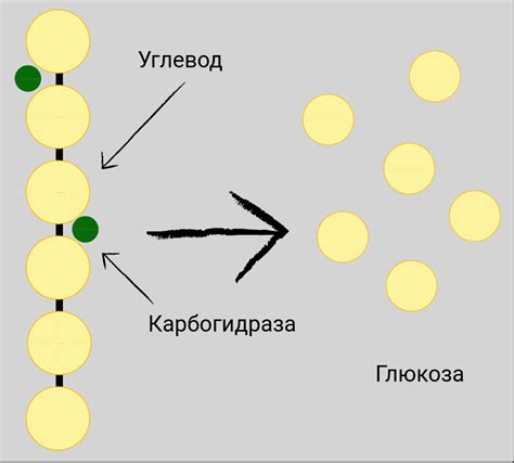 Мешающая деятельность ферментов