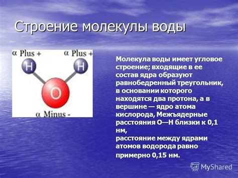 Молекула воды: основные характеристики