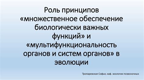 Мультифункциональность интервью