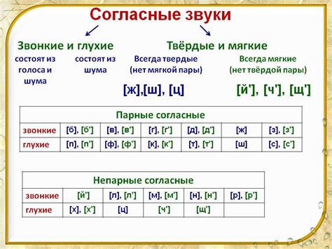 Мягкость и твердость в русском языке