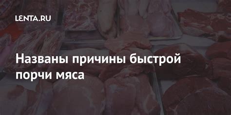 Мясо и рыба: причины быстрой порчи и правила хранения