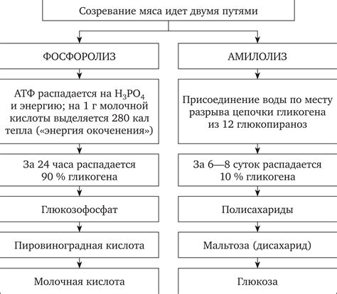 Наличие продуктов анаэробного распада