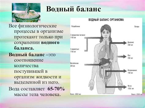 Нарушение водного баланса как причина проблем с курами