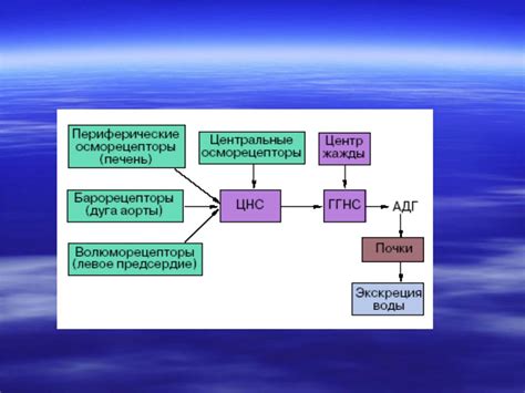 Нарушение водно-жирового баланса