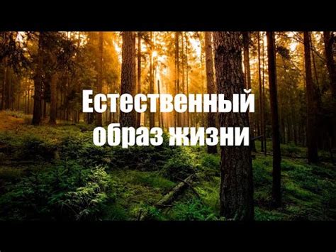 Нарушение естественного баланса