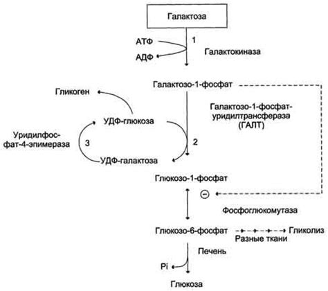 Нарушение метаболического процесса