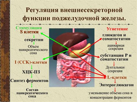 Нарушение функции поджелудочной железы