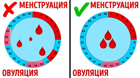 Нарушения в цикле менструации