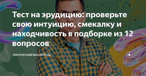 Находчивость в развлечениях