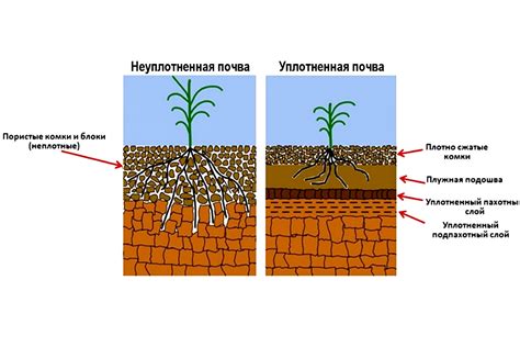 Неадекватная почва