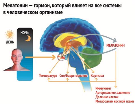 Негативное воздействие на синтез мелатонина