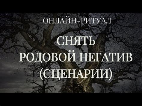 Негативные предыдущие опыты