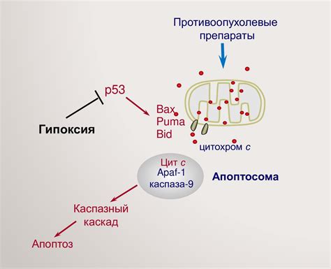 Недостаток кислорода: