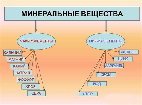 Недостаток необходимых макро- и микроэлементов