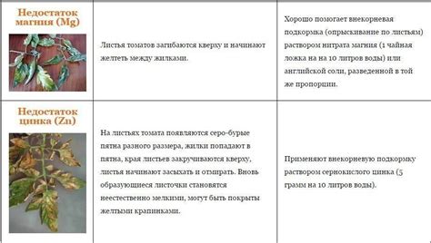 Недостаток питательных веществ в почве и их влияние на цвет листьев малины