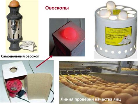 Недостаток свежести яиц при хранении