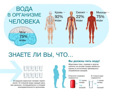 Недостаточное количество воды в организме: