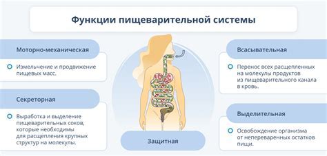 Недостаточное количество еды