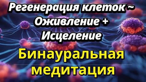 Недосып и укрепление иммунной системы