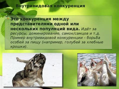 Нездоровая конкуренция за ресурсы