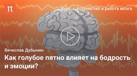 Нейрофизиологические аспекты сна и пробуждения в момент смерти