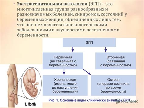 Некоторые заболевания и патологии