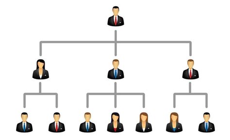 Необходимость установления иерархии в отношениях