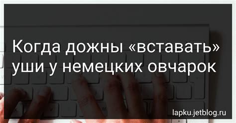 Неправильная посадка и связанные проблемы