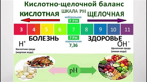 Неправильное питание и его воздействие на кислотно-щелочной баланс