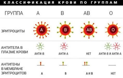 Несоответствие типа крови