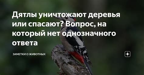 Нет однозначного ответа