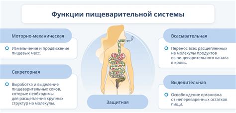 Неэффективное усвоение пищи