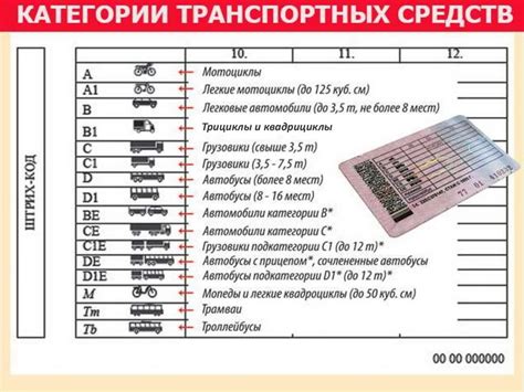 Новости и обновления в категории А