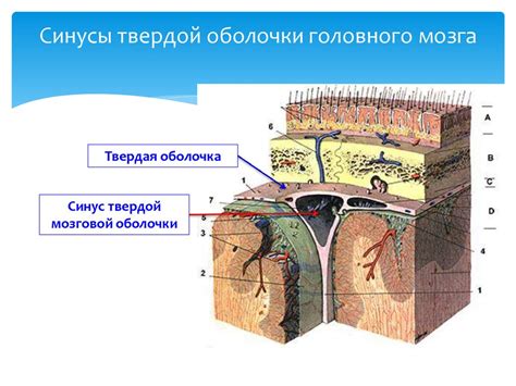 Образование паровой оболочки