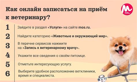 Обращение к ветеринару и специалисту по поведению