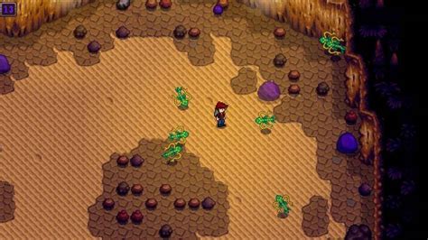 Общая информация о пещере черепа в Stardew Valley