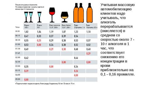 Общая информация о процессе усвоения алкоголя