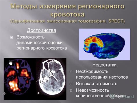 Оксигенация и кровоток в мозгу