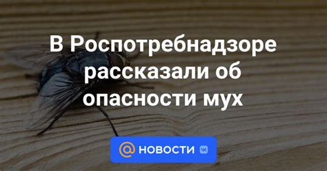 Опасности мух для здоровья