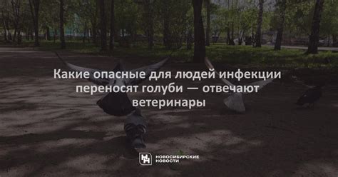 Опасные последствия для птиц