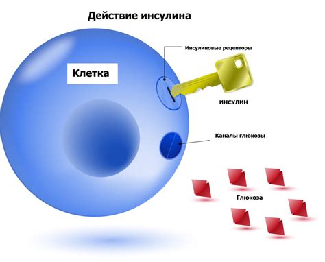 Описание глюкозы и ее роль в организме