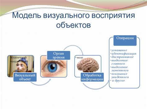 Описания визуального восприятия