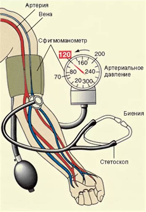 Определение артериального давления