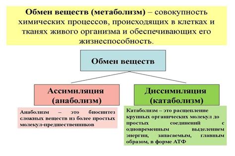 Определение гомологичных веществ