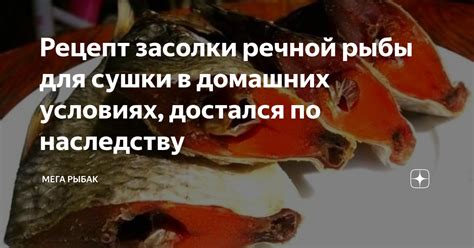 Оптимальная продолжительность сушки речной рыбы