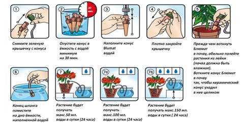 Оптимальное количество воды при поливе