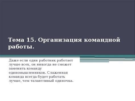 Организация командной работы в дружине