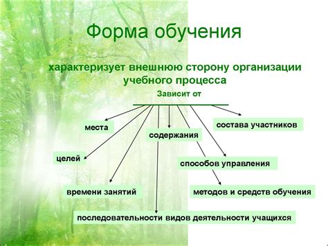 Организация учебного процесса: определение длительности уроков и перемены между ними